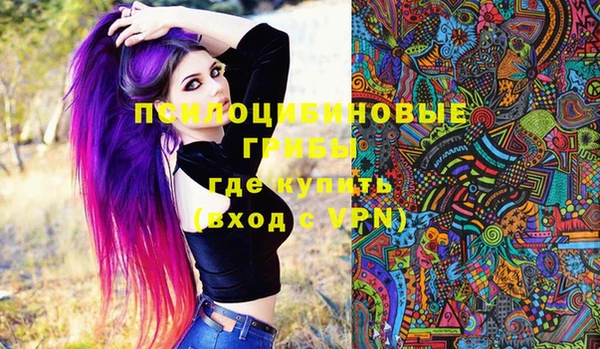 стафф Абинск