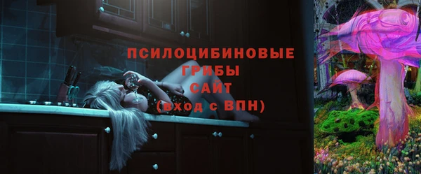 индика Абдулино