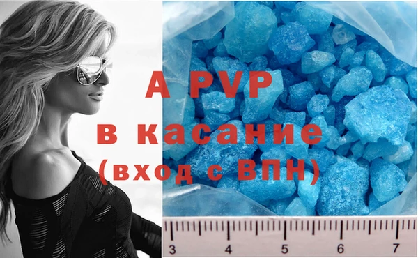 ешки Абаза