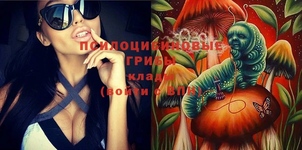 стафф Абинск