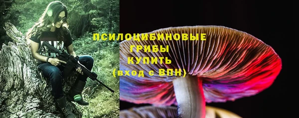 стафф Абинск