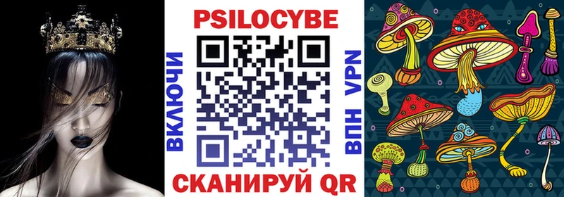 где найти наркотики  Дивногорск  Псилоцибиновые грибы мухоморы 